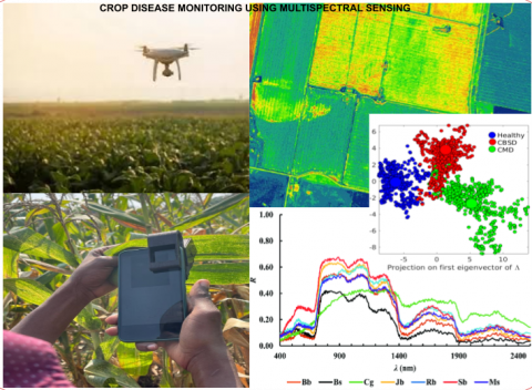 Sustainable crop disease monitoring